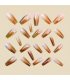 NA096 - Brown Gradient Ballet Nails